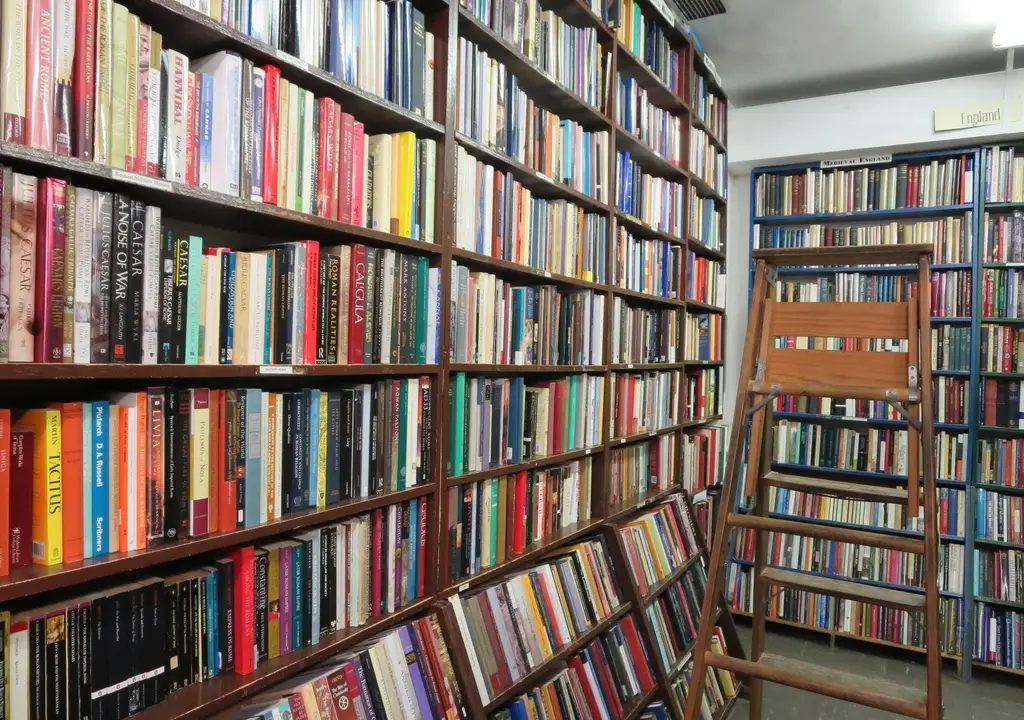 Library shelves books