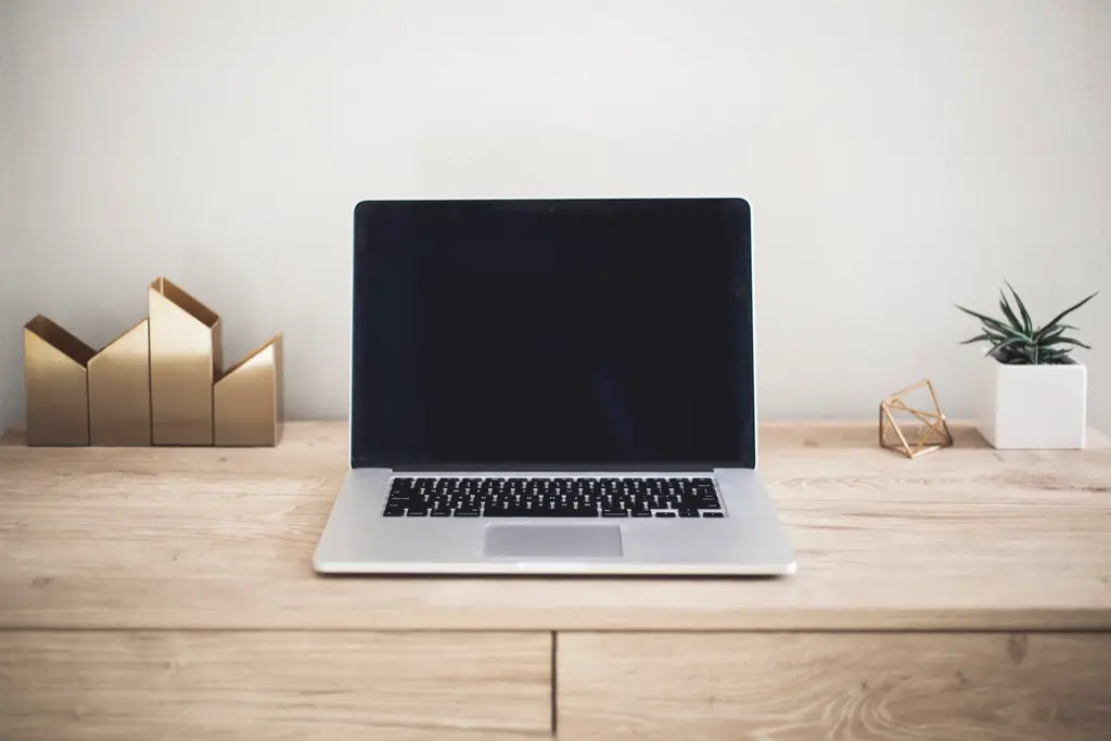 Laptop workspace plant