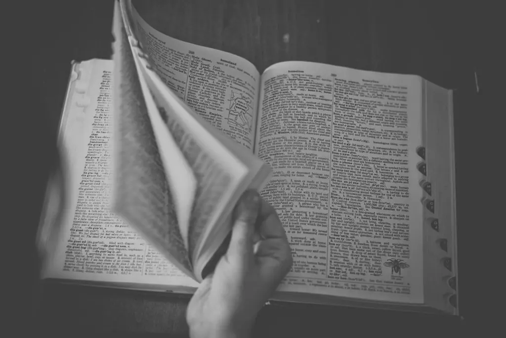 Dictionary books